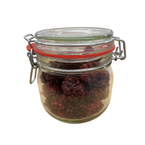 Liofilizirane robide